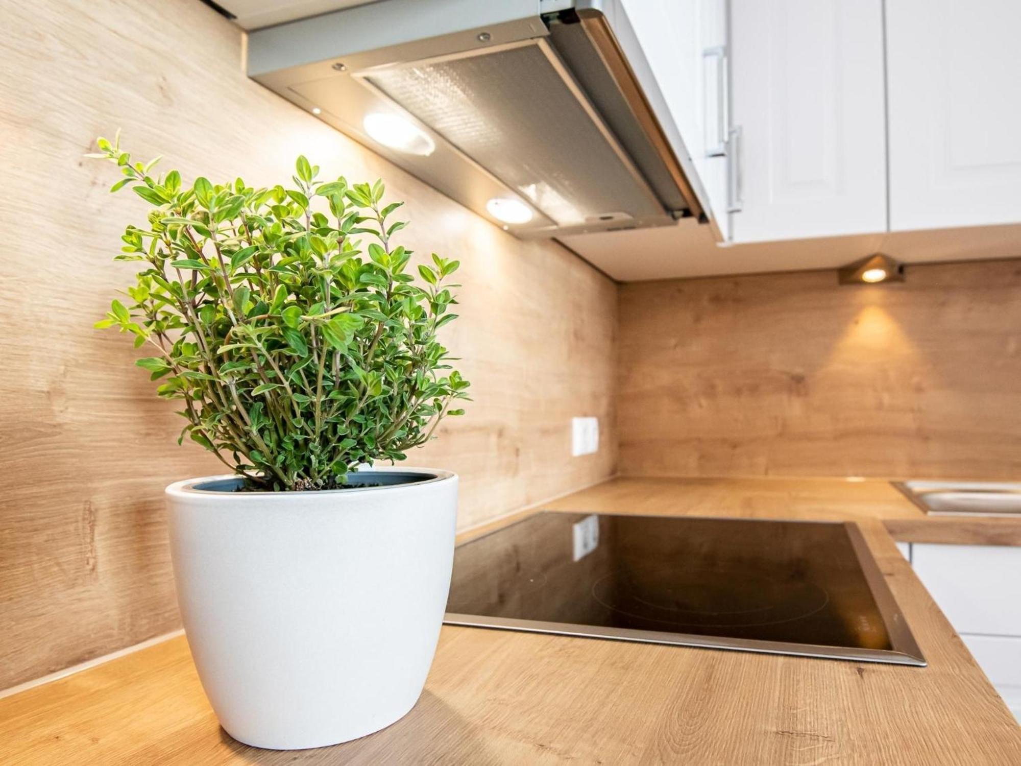 Berolina 804 Penthouse Mit Meerblick Dahme  Εξωτερικό φωτογραφία